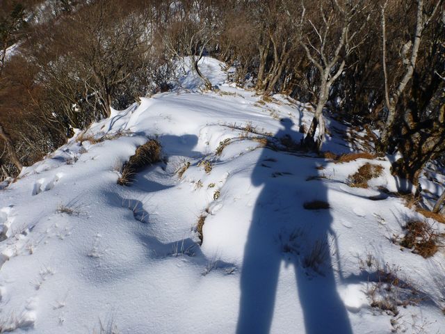 白髪山分岐