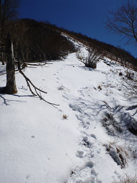 白髪山分岐