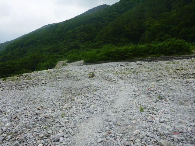 元谷