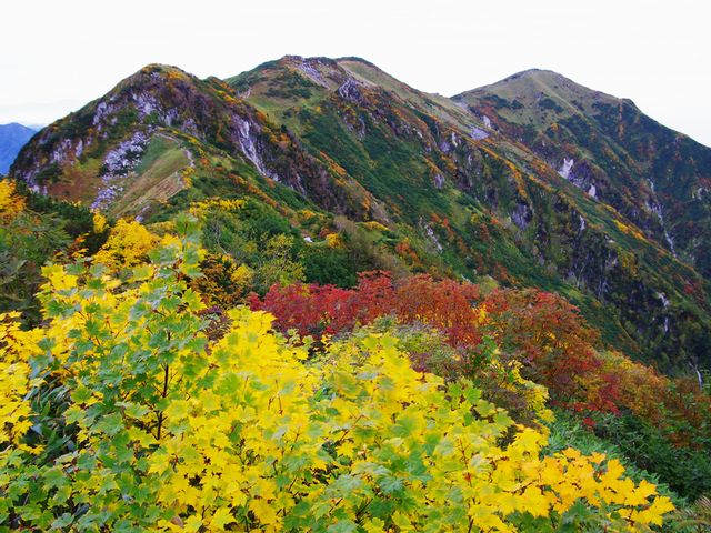 大日岳