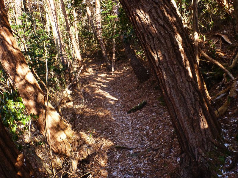 二ッ岳登山道