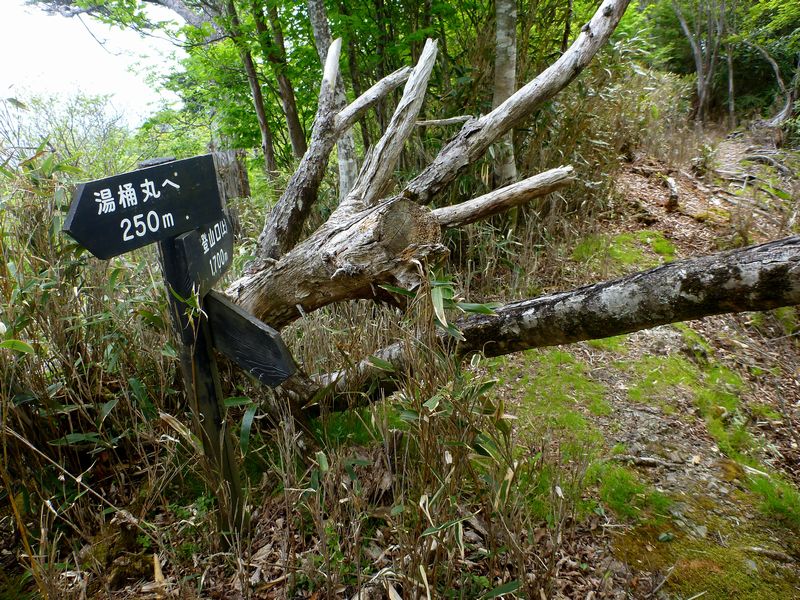 湯桶丸尾根分岐