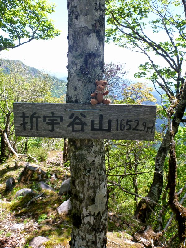 折宇谷山