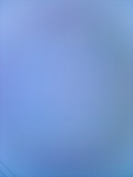 20070323_319128.jpg