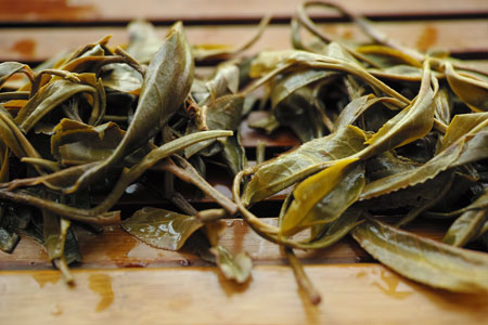 漫撒山秋の散茶2013年プーアル茶