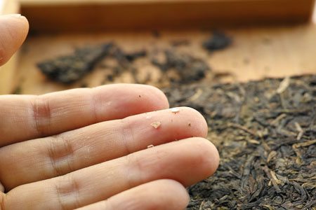 中茶牌65周年青磚03年プーアル茶