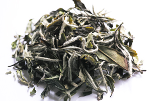 白牡丹生態茶2014年