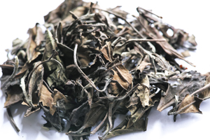 寿眉老茶2003年
