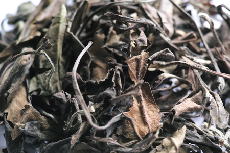 寿眉老茶2003年
