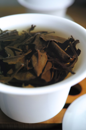 寿眉老茶2003年