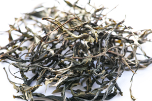 章朗古樹秋天散茶2014年プーアル茶