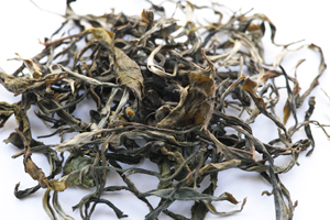 革登単樹秋天散茶2014年プーアル茶
