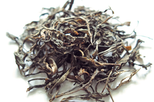 章朗古樹春天散茶2012年