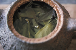 泡茶