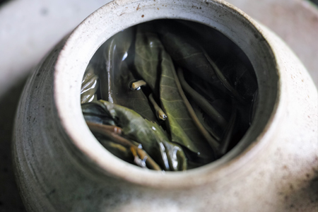 泡茶