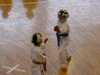 karate