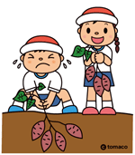 芋掘り遠足