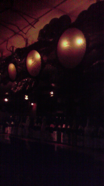 2009010910020000.jpg