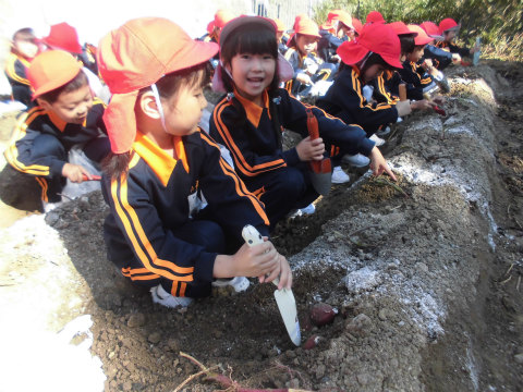 CIMG2210.jpg