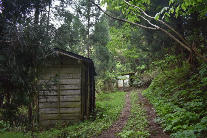 再び 新潟県の廃村に行ってきました Heyanekoの棲み家 へき地ブログ