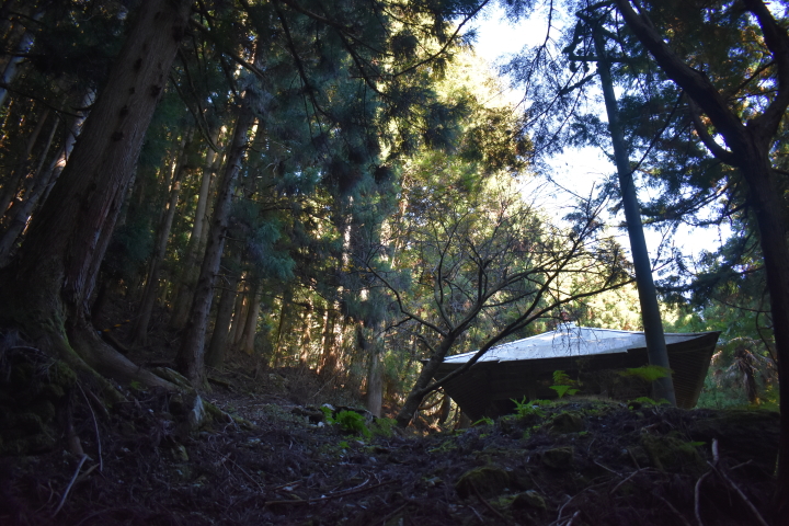 徳島県つるぎ町(旧一宇村) 大横(その5) HEYANEKOの棲み家(へき地ブログ)