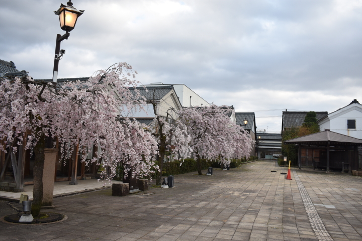 武生・蔵の辻 HEYANEKOの棲み家(へき地ブログ)