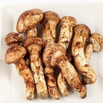 レビュー高評価アイテム特集｜ファッション通販 松茸（サマツ） | ふれあいブログクラブ・岩国市 環境