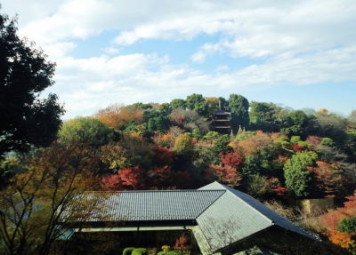 庭全景