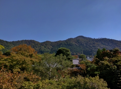 橋本関雪記念館テラス
