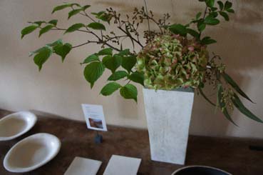 DSC04313.jpg