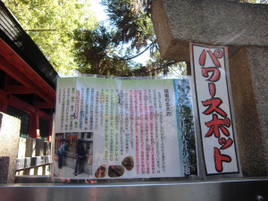 DPP_0038.JPG