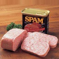 SPAM
