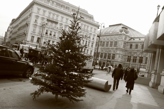 vienna,AUSTRIA,2007 winter-m35