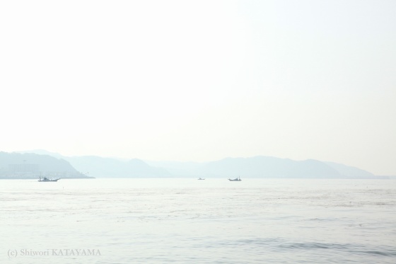 SS 2011 1