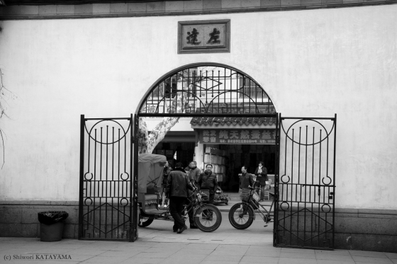 shanghai 13