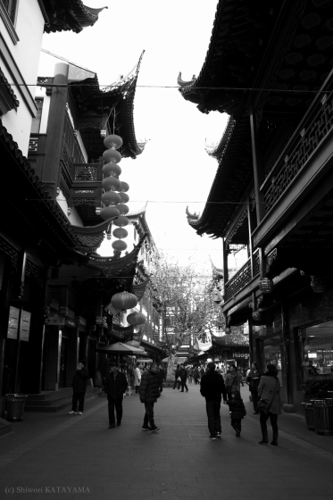shanghai 16