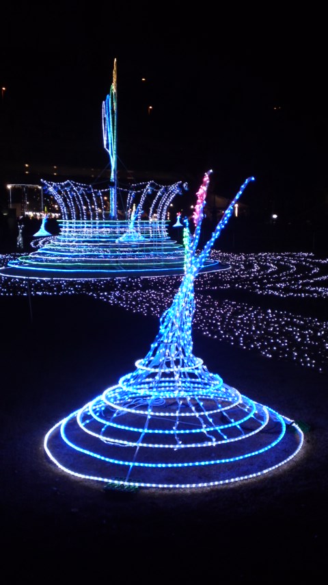 101223_2035~01.jpg