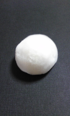 Image210.jpg