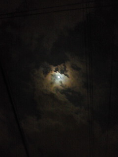 200910032330000.jpg