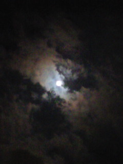 200910032331000.jpg
