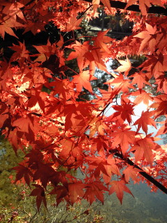 200910301513000.jpg