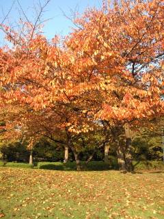 200911231527000.jpg