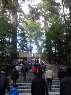201001051527000.jpg