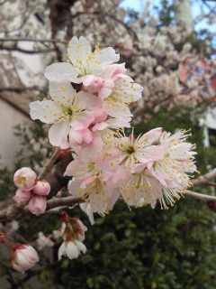 201002281407000.jpg
