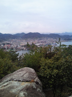 201003061651000.jpg