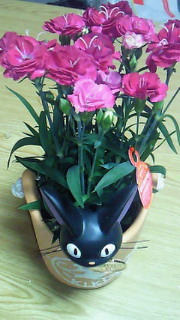 201005051854000.jpg