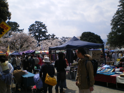 小田原城前