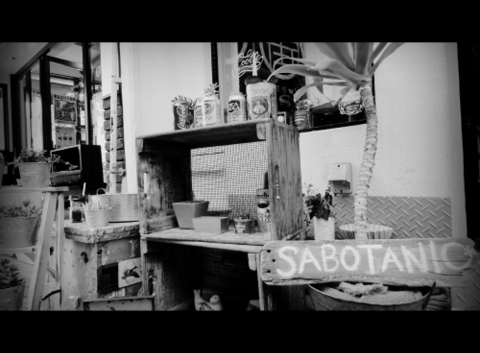GNARLY×SABOTANIC
