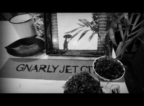 GNARLY×SABOTANIC
