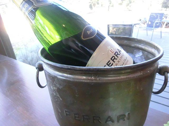 FERRARI ワインクーラー FERRARI ワインクーラー